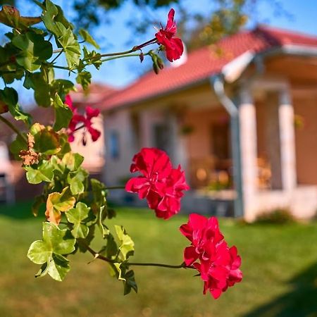 Villa Simida Debnevo Экстерьер фото
