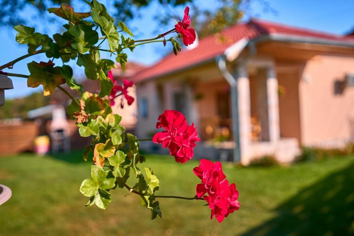 Villa Simida Debnevo Экстерьер фото
